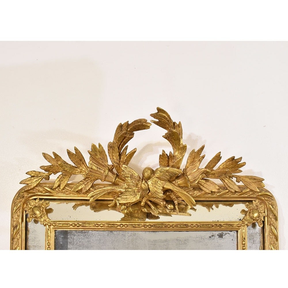 SPCP181 1 antique french mirrors gold wall.jpg